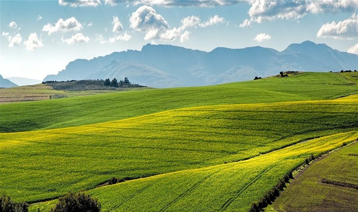 Agriculture